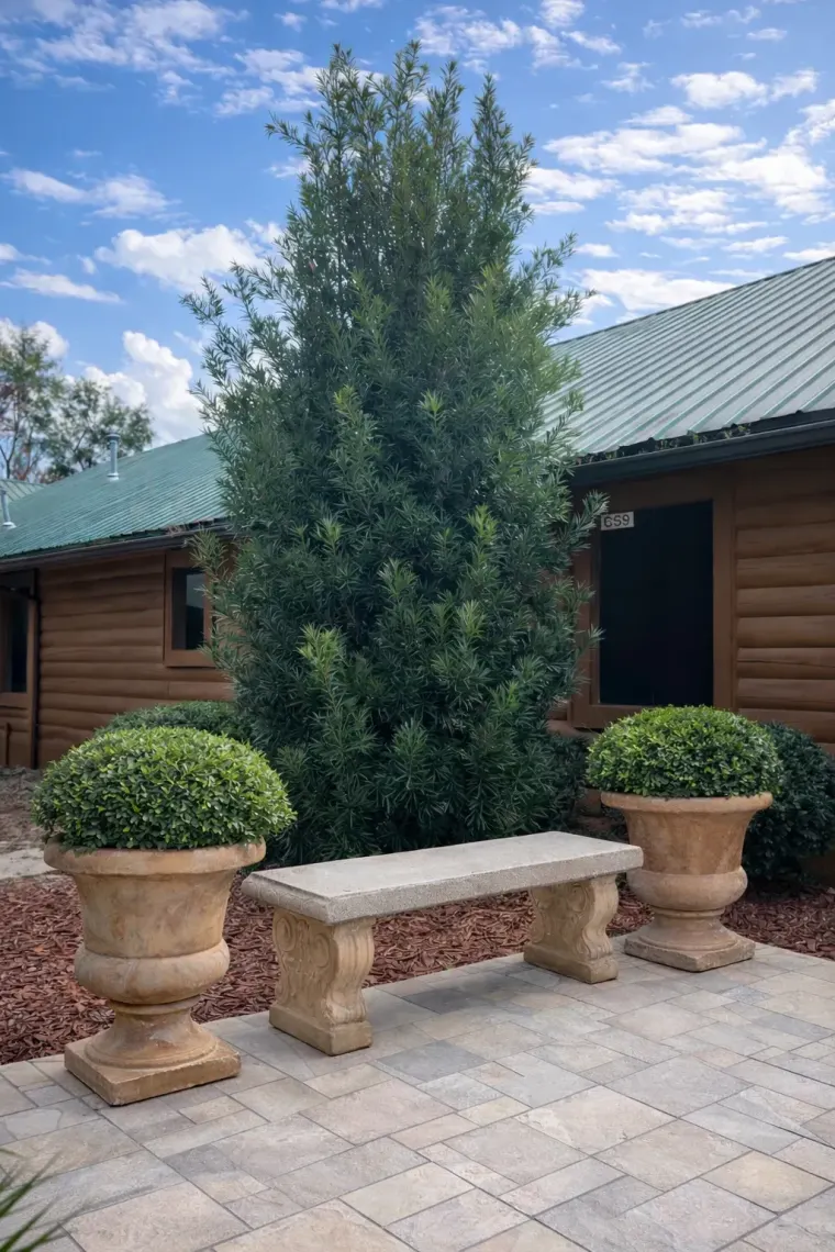 A quiet garden bench beneath a cypress tree outside the log cabin residences at The Wave of North Florida